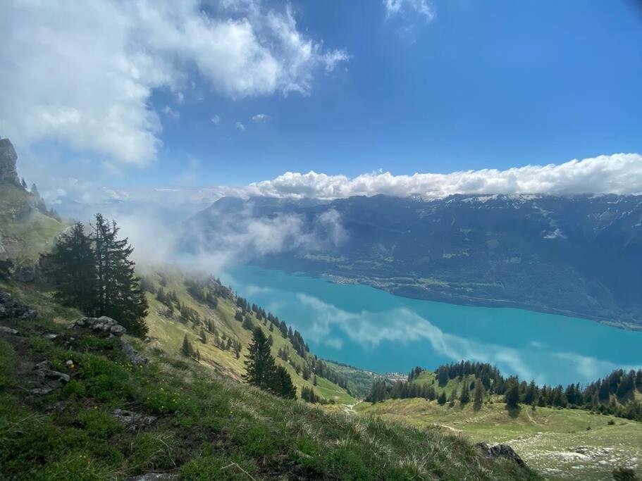 Chalet Mignon - Your Vacation Oasis At Lake Brienz Bönigen Exteriör bild