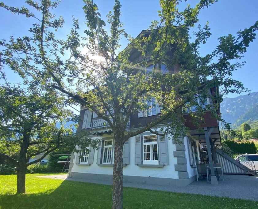 Chalet Mignon - Your Vacation Oasis At Lake Brienz Bönigen Exteriör bild
